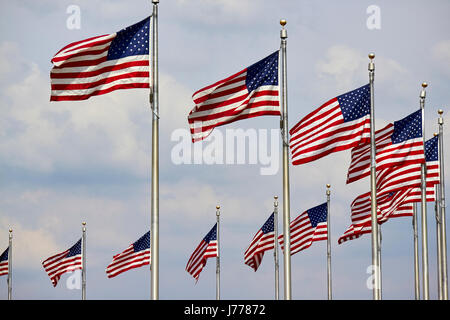 rows of us flags flying on the national mall at the washington monument Washington DC USA Stock Photo