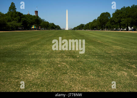 grassy lawn area on the national mall Washington DC USA Stock Photo