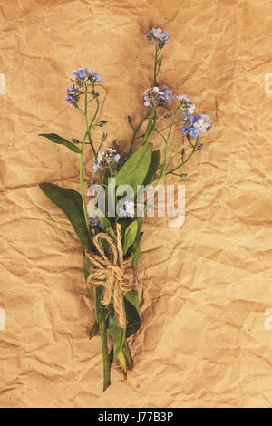 A bouquet of blue forget-me-not flowers on an old yellow rumpled parchment paper. View from above.. Stock Photo