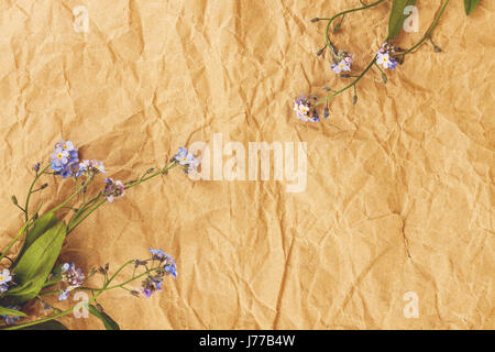 A bouquet of blue forget-me-not flowers on an old yellow rumpled parchment paper. View from above.. Stock Photo