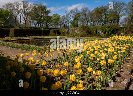 The walled garden at Dunvegan Castle on the Isle Of Skye Stock Photo