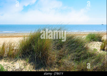 View of the beach. Plants growing on the dune. Sea and blue sky with clouds. Nice summer landscape. Stock Photo