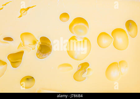 Texture of a Swiss cheese. Cheese with holes Stock Photo
