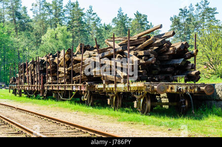 Three deserted old timber wagons on a grass covered railroad track. Railroad ties or sleepers still on wagons. Forest in background. Location Brosarp  Stock Photo