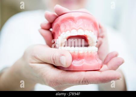 Hands holding dentures Stock Photo