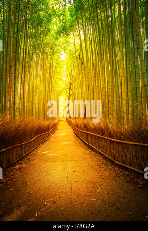 Arashiyama bamboo Kyoto Stock Photo