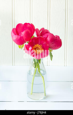 Pink blousy peonies Stock Photo