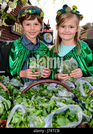 Alresford 13th annual Watercress Festival King & Queen (both aged 6 years) on the watercress cart prior to their parade through the town, Alresford... Stock Photo