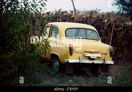 Old beige car. It is in the forest, on the field road. Back view. There is room for a license plate. Stock Photo
