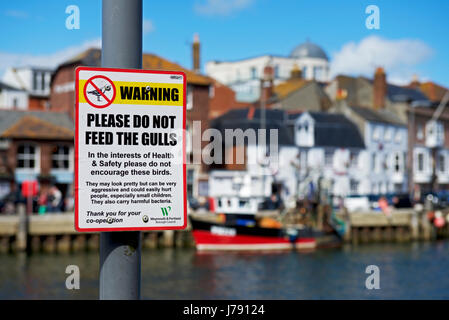 Sign - Please do not feed the gulls - in Weymouth, Dorset, England UK Stock Photo