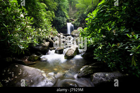 Grotto Falls Waterfall and Cascades in Green Forest, Gatlinburg Tennessee, Great Smoky Mountains National Park Stock Photo