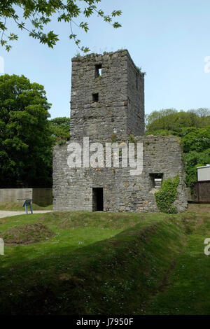 Rushen Abbey ruins at Ballasalla, Isle of Man Stock Photo