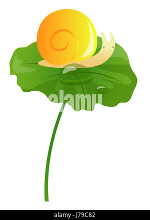 leaf snail lotus nature food aliment beautiful beauteously nice leaf detail big Stock Photo