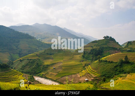 rice terrace in Mucangchai Vietnam Stock Photo