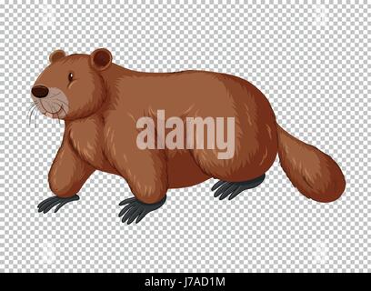 Brown beaver on transparent background illustration Stock Vector