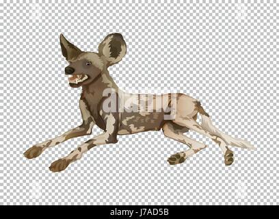 Hyena on transparent background illustration Stock Vector