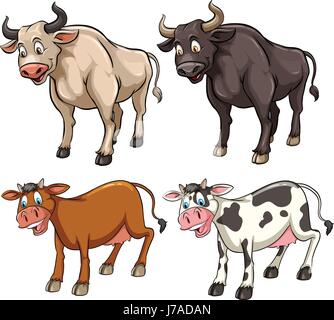 Different kinds of cows illustration Stock Vector