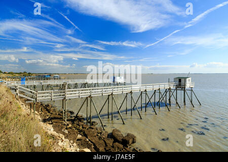 France, Charente Maritime, Port des Barques, fishing with shore-operated lift net or carrelet Stock Photo