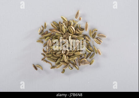 Fennel Seeds Stock Photo