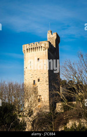 Tour Philippe le Bel Villeneuve-lès-Avignon Gard  France Stock Photo