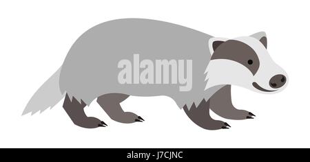 Cute smiling badger vector cartoon illustration. Wild zoo animal icon. Furry adult mammal standing. Isolated on white. Forest fauna childish character Stock Vector