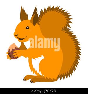 Cute smiling red squirrel holding nut. Vector cartoon illustration. Wild zoo animal icon. Fluffy ginger adult rodent standing with hazelnut. Isolated  Stock Vector