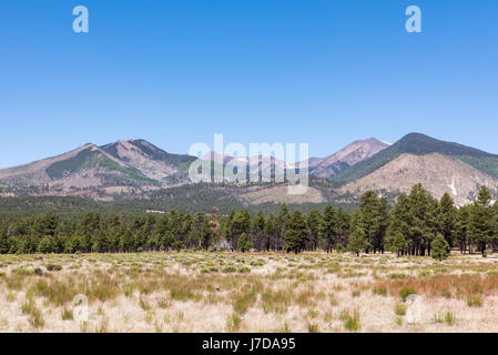 Panorama of the San Francisco Peaks near Flagstaff in Arizona. Seen from Sunset Crater Volcano National Monument. Stock Photo