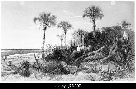 An engraving of The Coast of Florida scanned at high resolution from a book printed in 1872.  Believed copyright free. Stock Photo