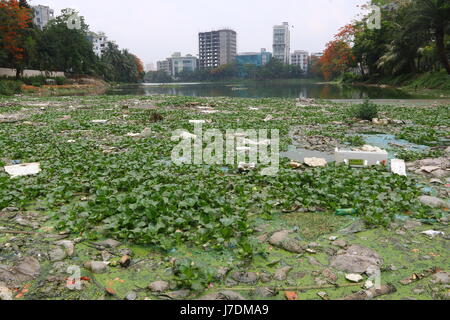 Dhaka 20 may 2017. Dhaka gulshan lake pollution shows water contamination in Gulshan Lake is getting worse as hazardous wastes get dumped unchecked. Stock Photo