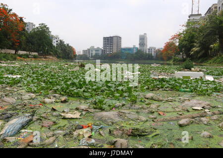 Dhaka 20 may 2017. Dhaka gulshan lake pollution shows water contamination in Gulshan Lake is getting worse as hazardous wastes get dumped unchecked. Stock Photo