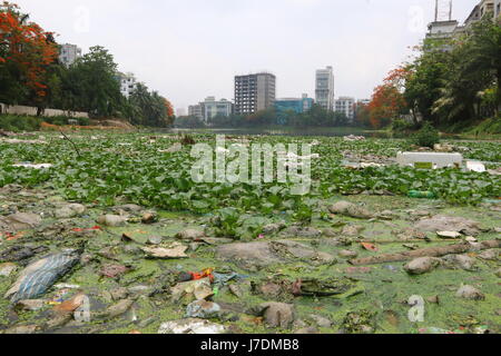 Dhaka 20 may 2017. Dhaka gulshan lake pollution shows water contamination in Gulshan Lake is getting worse as hazardous wastes get dumped unchecked. Stock Photo