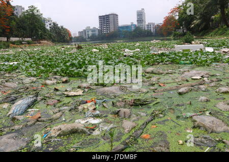 Dhaka 20 may 2017. Dhaka gulshan lake pollution shows water contamination in Gulshan Lake is getting worse as hazardous wastes get dumped unchecked. Stock Photo