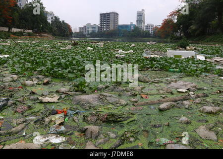 Dhaka 20 may 2017. Dhaka gulshan lake pollution shows water contamination in Gulshan Lake is getting worse as hazardous wastes get dumped unchecked. Stock Photo