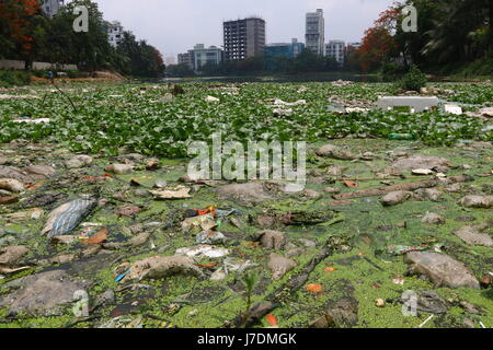 Dhaka 20 may 2017. Dhaka gulshan lake pollution shows water contamination in Gulshan Lake is getting worse as hazardous wastes get dumped unchecked. Stock Photo