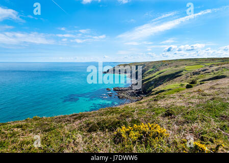 North Cornwall Coast near St Ives. Looking east across Trevalgan Cliff towards Pen Enys Point and Polgassick Cove. Stock Photo