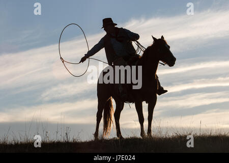 cowboy spinning lasso at sunset Stock Photo