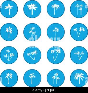 Palm tree icon blue Stock Vector