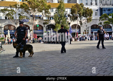 Gibraltar. 24th May 2017. Royal Gibraltar Police recruits today paraded through Main Street onto Casemates Square under tight armed security. The Police Passing Out parade continued as normal with the British Overseas Territory keeping their security levels at Substantial and not paralleling the UK’s Critical security status. The parade was supported by Armed Response Units from both the RGP and GDP along with AFO officers, police dog units and search teams to ensure tight security measures were in place throughout the event. Credit: Stephen Ignacio/Alamy Live News Stock Photo