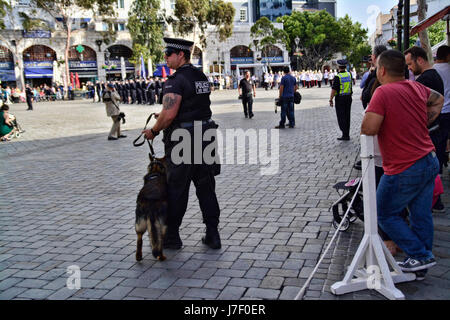 Gibraltar. 24th May 2017. Royal Gibraltar Police recruits today paraded through Main Street onto Casemates Square under tight armed security. The Police Passing Out parade continued as normal with the British Overseas Territory keeping their security levels at Substantial and not paralleling the UK’s Critical security status. The parade was supported by Armed Response Units from both the RGP and GDP along with AFO officers, police dog units and search teams to ensure tight security measures were in place throughout the event. Credit: Stephen Ignacio/Alamy Live News Stock Photo