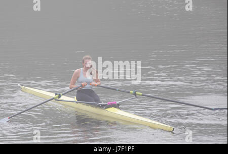 Chester, Cheshire, 25th May 2017 UK Weather. The day begins with foggy coastal and inland areas this morning before the sun burns it away to be yet another hot day for many in the UK. A foggy start in Chester for this rower on the River Dee before it becomes the hottest day of the year so far, this year Stock Photo