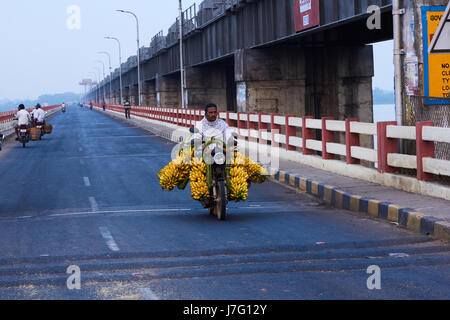 Bunch of banana on bicycle to market in India Stock Photo