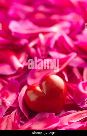 The heart on peony petals background. Love concept. Stock Photo