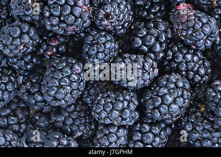 Full frame background of juicy raw blackberry fruit. Stock Photo