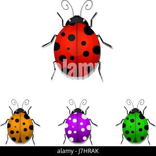 Set of colorful ladybugs isolated on white background. Vector illustration Stock Vector