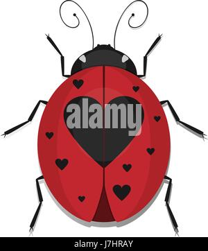 Ladybug beetles with heart spotted wing, vector ladybird ikon isolated on white background. Stock Vector