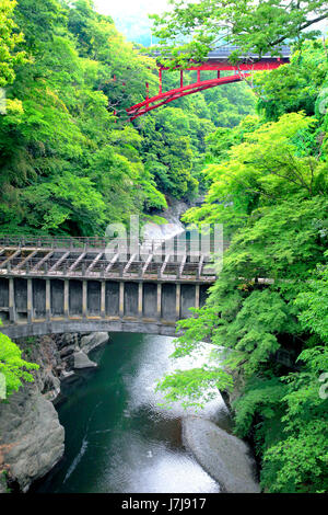The Aqueduct for Power Station over Katsuragawa River at Saruhashi Otsuki city Yamanashi Japan Stock Photo