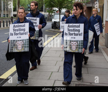 To mark World Day for Animals in Laboratories (24 April), PETA members gather outside the Home Office wearing monkey masks to protest experimenters' attempts to change the category of suffering assigned to neurological experiments on primates from 'severe' to 'moderate'.  Featuring: Atmosphere, View Where: London, United Kingdom When: 24 Apr 2017 Credit: Wheatley/WENN Stock Photo