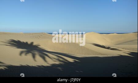 Tourists walking on extensive coastal sand dunes near the shadow of a palm tree, Maspalomas, Gran Canaria, May 2016. Stock Photo
