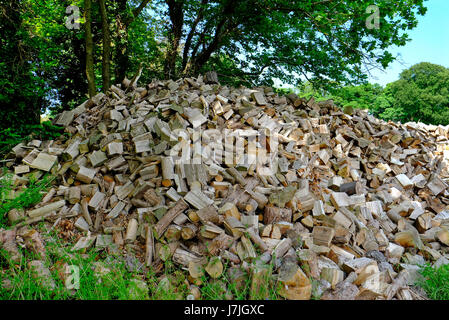 large pile of chopped firewood, norfolk, england Stock Photo