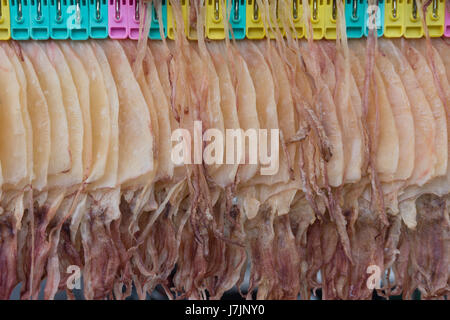 Dried squid hanging  on wire Stock Photo